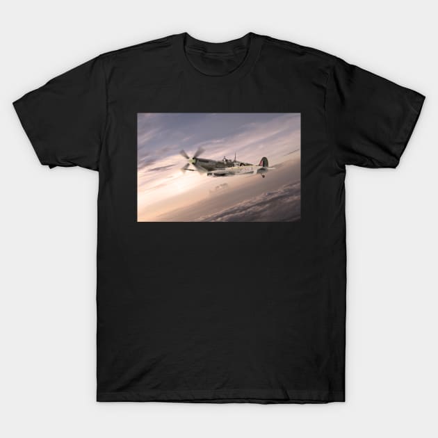 Fighting Grace T-Shirt by aviationart